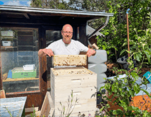 Imker kontrolliert Honigwabe bei der Durchsicht eines Bienenvolkes