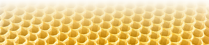 Frische, helle Bienenwabe aus Wachs mit regelmäßigem sechseckigem Zellmuster